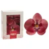 Orchideen aus Esspapier Rot, 10 Stück