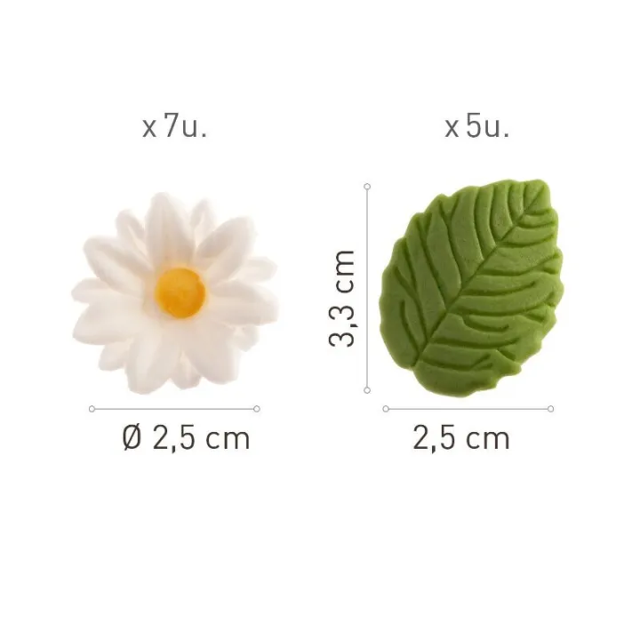 Fleurs en sucre Marguerites & feuilles, 12 pièces