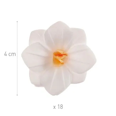 Fleurs blanches en papier à manger Ø 4 cm, 18 pièces