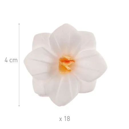 Fleurs blanches en papier à manger Ø 4 cm, 18 pièces