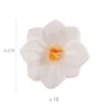 Fleurs blanches en papier à manger Ø 4 cm, 18 pièces
