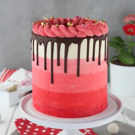 Städter Anello per torte regolabile 15–30 cm, alto 20 cm – per torte alte e creazioni a più piani | miniSchoggi