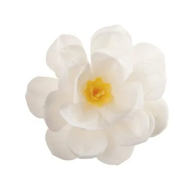 Weisse Blüte aus Esspapier Ø 12 cm, 1 Stück