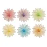Gänseblümchen Mix aus Esspapier Ø 7 cm, 15 Stück