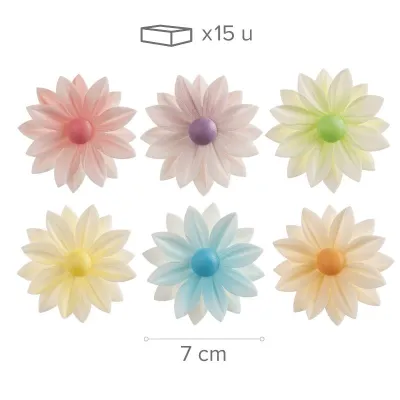 Miscela di margherite in carta commestibile Ø 7 cm, 15 pezzi