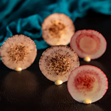 Chocolate Decorations Course – 02.10.2026