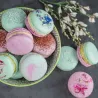 Macaron Kurs in Zürich Adliswil – 26.10.2026