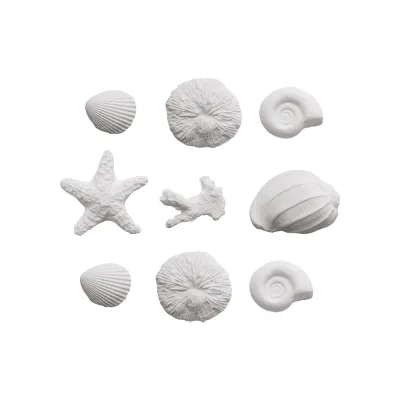 Zuckerdekoration Muscheln