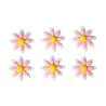 Décoration en sucre marguerites roses, 6 pièces