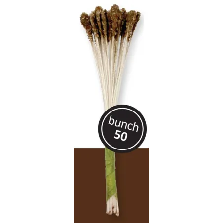 Brown flower pollen for lilies, 50 pieces