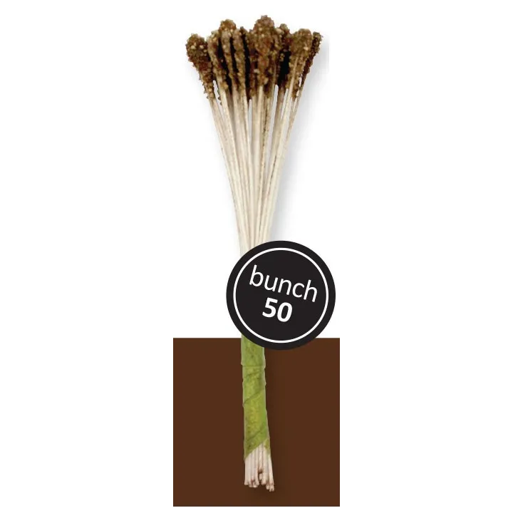 Braune Blütenpollen für Lilien, 50 Stück