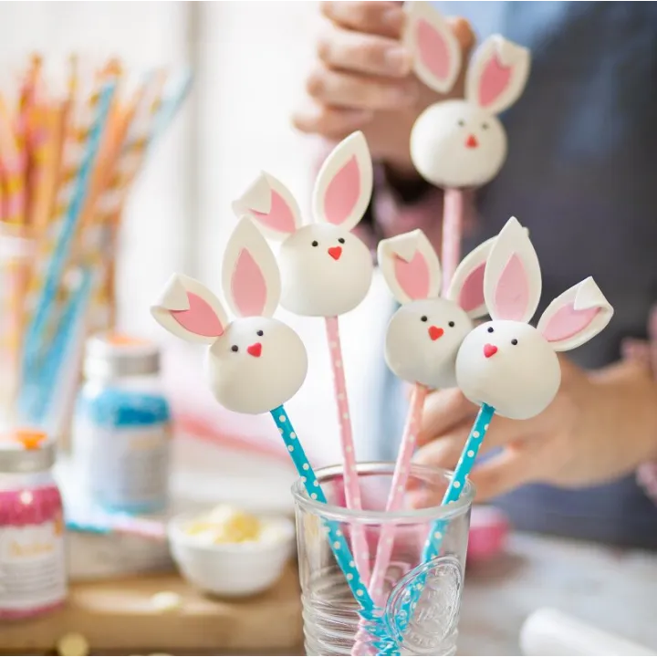 Cake Pops Backform aus Silikon klassisch für leckere Küchlein