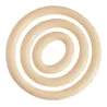 Chocolate mold for circle decorations