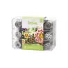 Set di tulle Campo di tulipani 12 pezzi