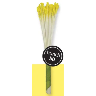 Gelbe Blütenpollen für Lilien, 50 Stück