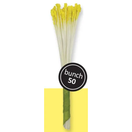 Pollen de fleurs jaunes pour lys, 50 pièces