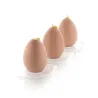 Silicone mold egg small, 12 pieces
