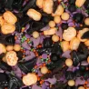 Scatter decorations Fantastic Halloween, 70 g