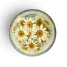 Dried edible daisies, 15 pieces