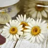 Dried edible daisies, 15 pieces