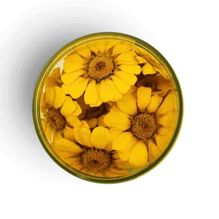 Marguerites comestibles jaunes séchées, 15 pièces
