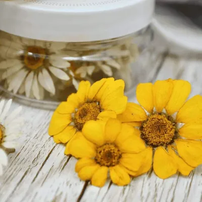 Edible daisies yellow dried, 15 pieces