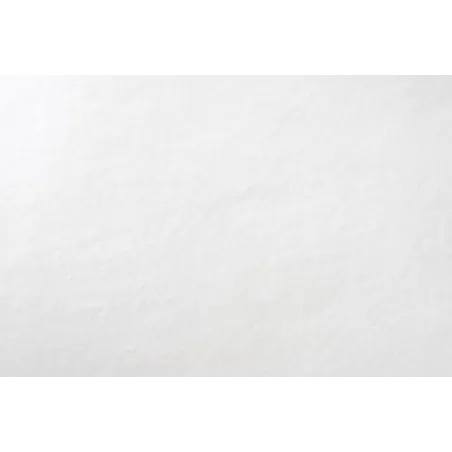 Papier essuie-tout, 10 pièces