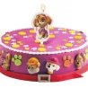 Bougie Paw Patrol 2D Skye, 7.5 cm