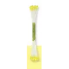 Blütenpollen klein Zitronengelb, 50 Stück