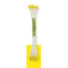 Polline di fiori piccolo giallo, 50 pezzi