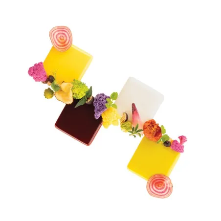 Silicone mold squares, 32 pieces