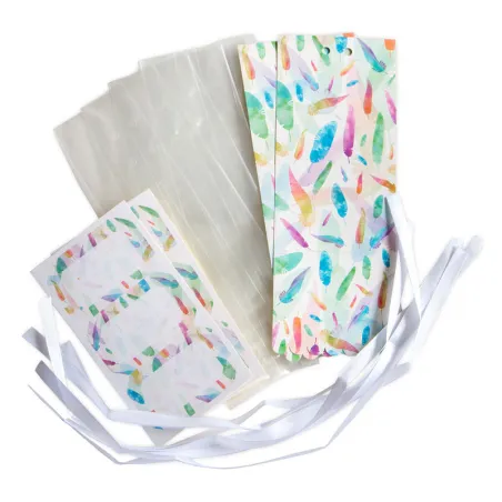 Set de pochettes cadeaux "Rainbow Feathers", 24 pièces