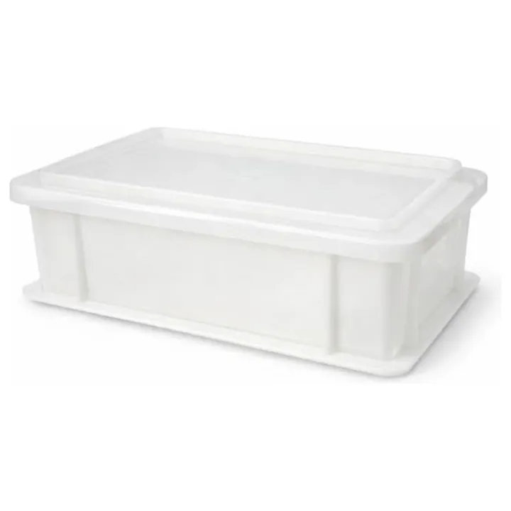 Gärbox klein mit Deckel 30×20×10 cm – für Pizza-, Brot- und Hefeteig | miniSchoggi