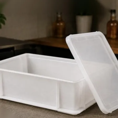 Boîte de fermentation petite avec couvercle 30×20×10 cm – pour pâte à pizza, pain et levure | miniSchoggi