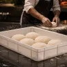 Scatola di fermentazione grande con coperchio 40×30×10 cm – per impasto pizza, pane e lievitato, 10 litri | miniSchoggi