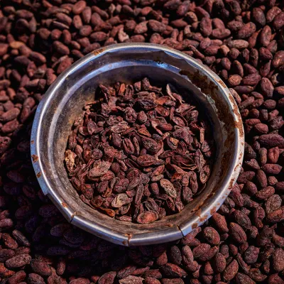 Fairly produced Nativos, Choba Choba Organic Couverture 70% for fine Pralines