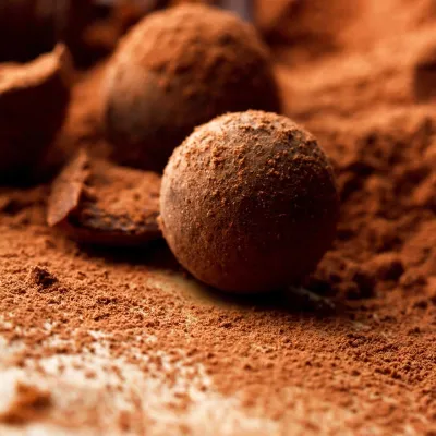 Premium Cocoa powder