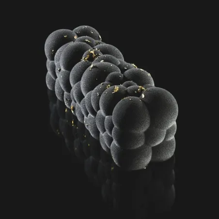 Moule en silicone Bûche Atomic, Pavoni, effet 3D