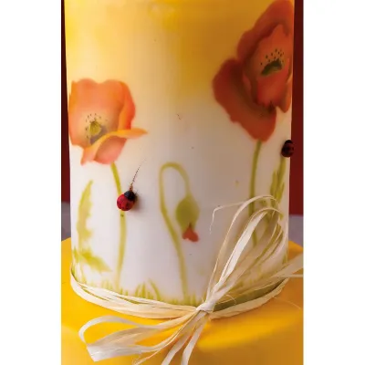 Airbrush stencil poppy flowers (3 motifs)