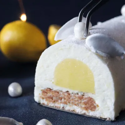 Stampo Bûche de Noël in acciaio inox con inserto per una Bûche de Noël perfetta