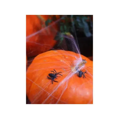 Plastic spider decoration figures 10 pieces - Table decoration Halloween