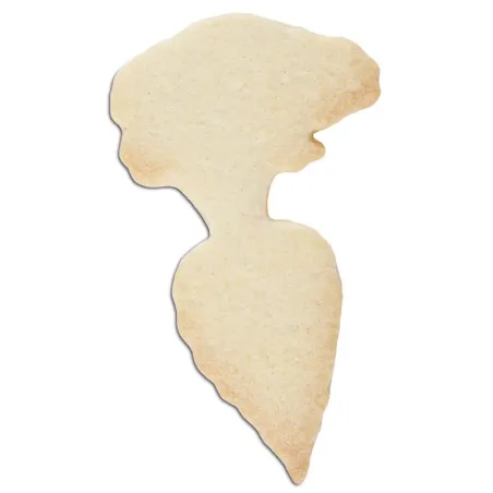 Cookie cutter carrot