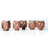 Praline mold owl 21 chocolates