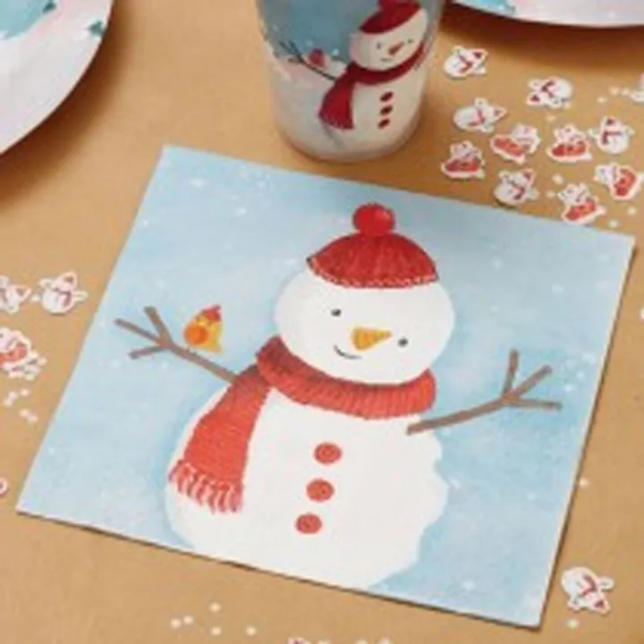 Napkins Snowman & Bird, 20 pieces