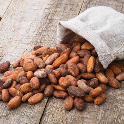 Cours Bean to Bar - Fabrique toi-même ton chocolat