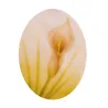 Airbrush stencil 2 callas lilies