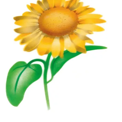 Airbrush Schablone Sonnenblume