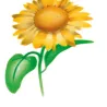 Stencil aerografo Girasole