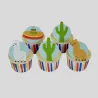 Cookie cutter Mexico 3 pieces