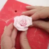 Easiest Rose Cookie Cutter